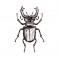 Rhino Beetle Necklace