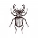 Rhino Beetle Necklace