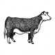 Cow Necklace
